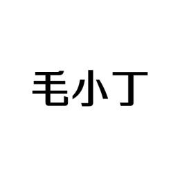 毛小丁 