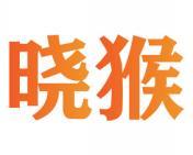 晓猴 
