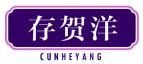存贺洋 