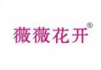 薇薇花开 