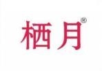栖月 