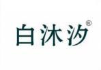 白沐汐 