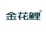 金花鲤 