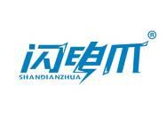 闪电爪 