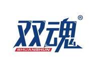 双魂 