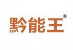黔能王 