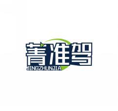 菁准驾    JINGZHUNJIA 