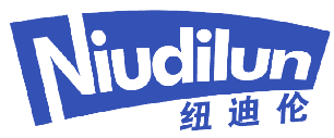 纽迪伦 