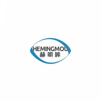 赫明眸    HEMINGMOU 