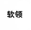 [9类]软领
