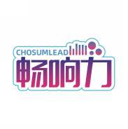 畅响力 CHOSUMLEAD 