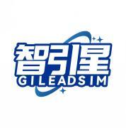 智引星 GILEADSIM 