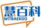 慧百科WITBAEKOO 