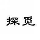 探觅 