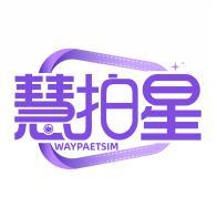 慧拍星 WAYPAETSIM 