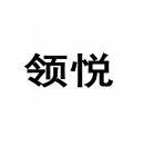 [9类]领悦