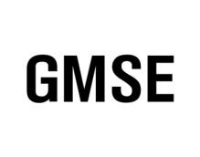 GMSE 