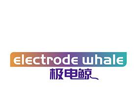 极电鲸ELECTRODE WHALE 