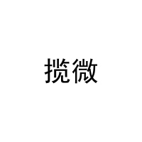揽微 