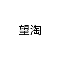 [11类]望淘