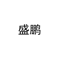 盛鹏 