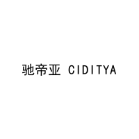 驰帝亚 CIDITYA 
