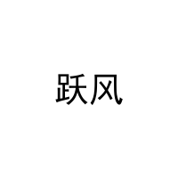 [20类]跃风