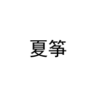 夏筝 