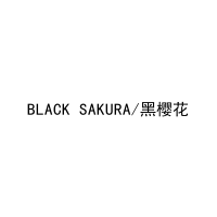 [24类]BLACK SAKURA/黑樱花