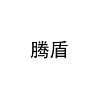 [27类]腾盾