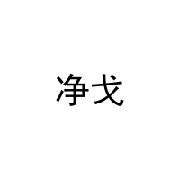 [27类]净戈