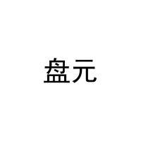 [29类]盘元