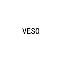 [29类]VESO