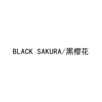 [31类]BLACK SAKURA/黑樱花